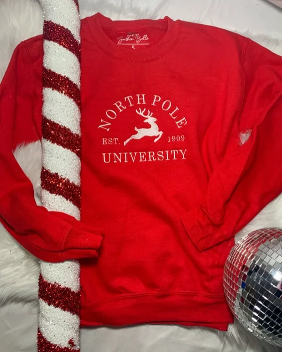 North Pole Embroidered Graphic Sweatshirt